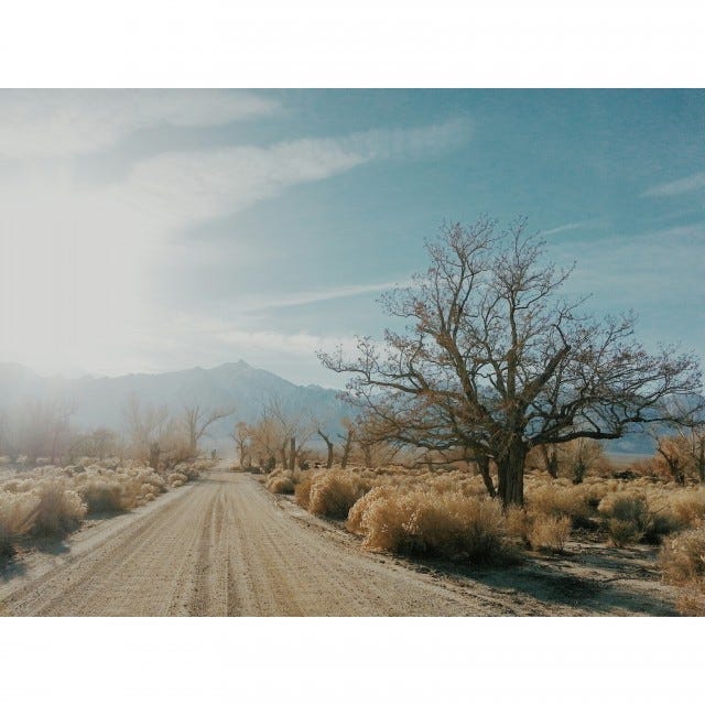 photo no 10 -- Manzanar