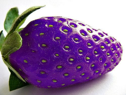 Purple Strawberry Disruptive Marketing
