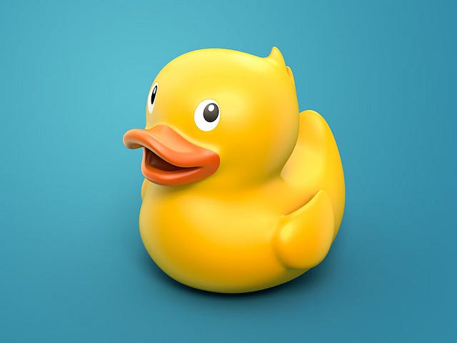 Duck-by-Anna-Paschenko