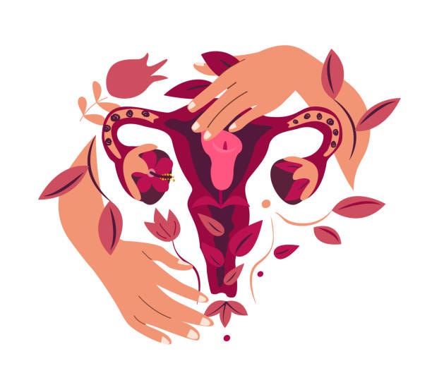 Uterus