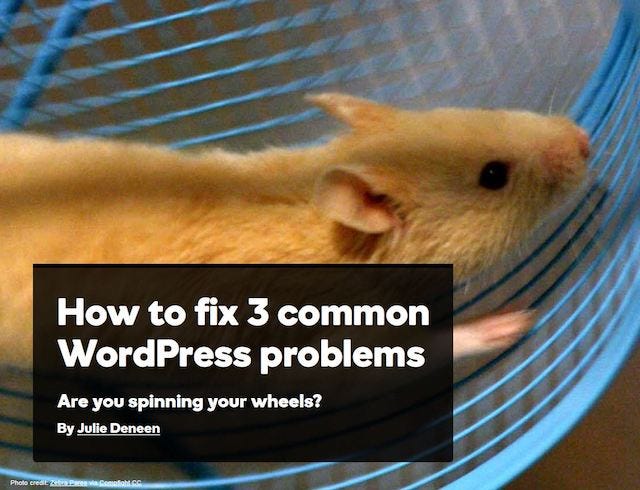 Grow WordPress Blog Common Problems