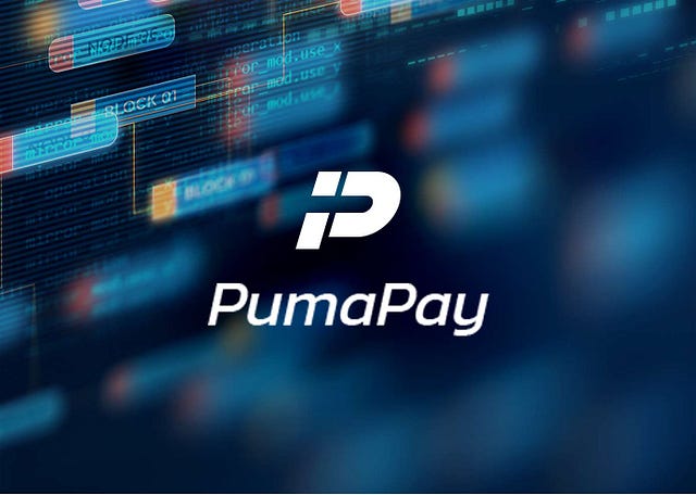 Image result for pumapay blockchain