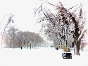 Winter at UAlberta