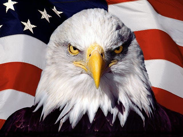 Thumbnail image for American-Patriot.jpg