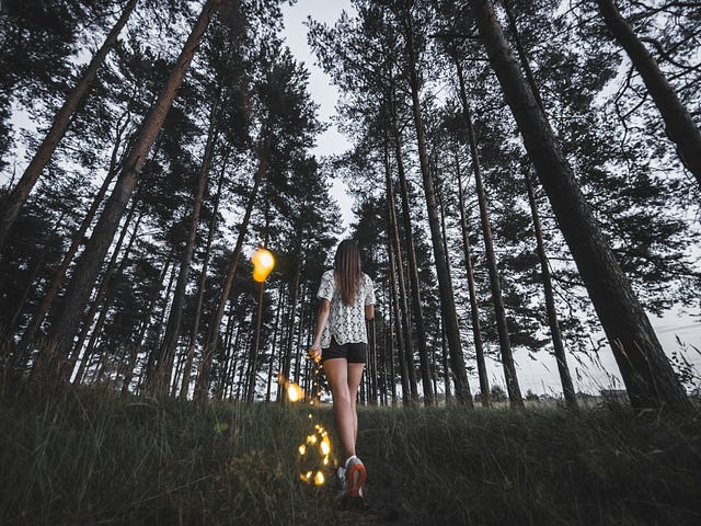 Girl walking through a forest. A magical scene.