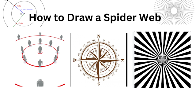 How to Draw a Spider Web
