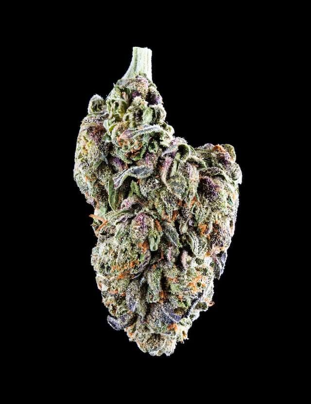 Runtz cannabis strain