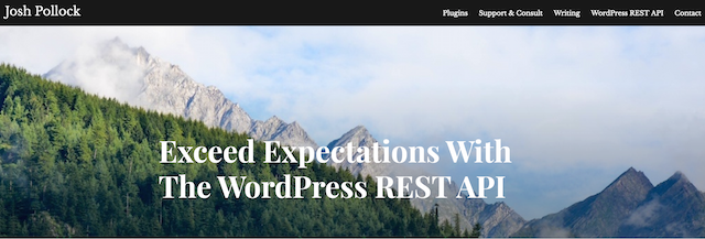 WordPress Development Skills WP REST API Course