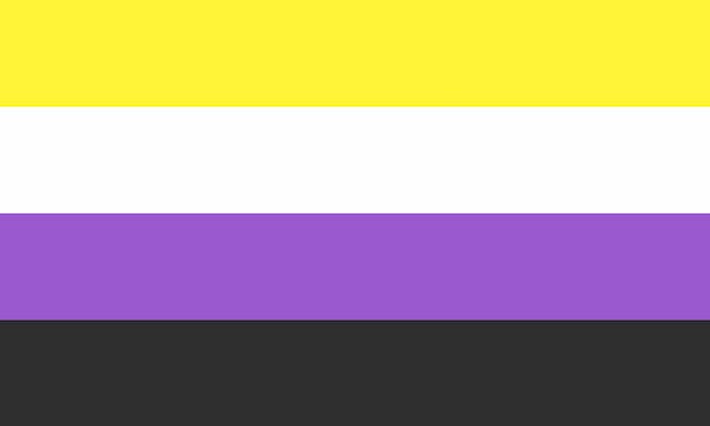 The Non-Binary Pride Flag