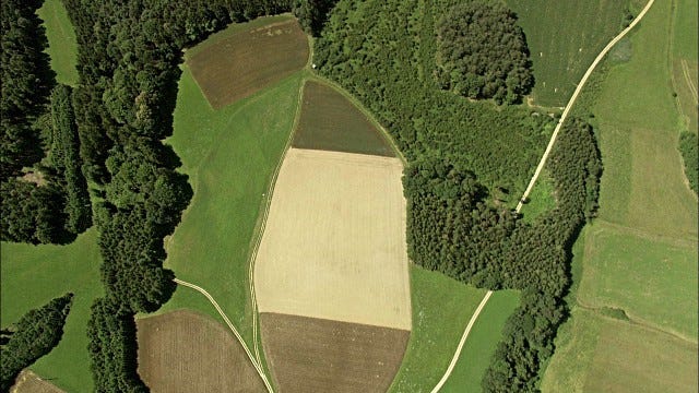 Aerial image of an agricultural field