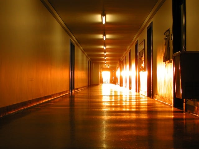 Photo of an MIT hallway lit up by sunlight.