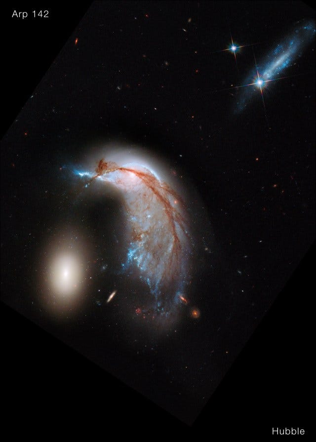 Cosmic merger Leads to Penguins---