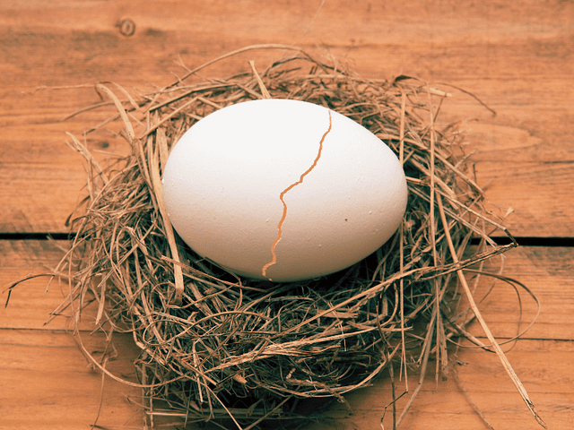 An egg in a nest cracking open, with light behind the eggshell.