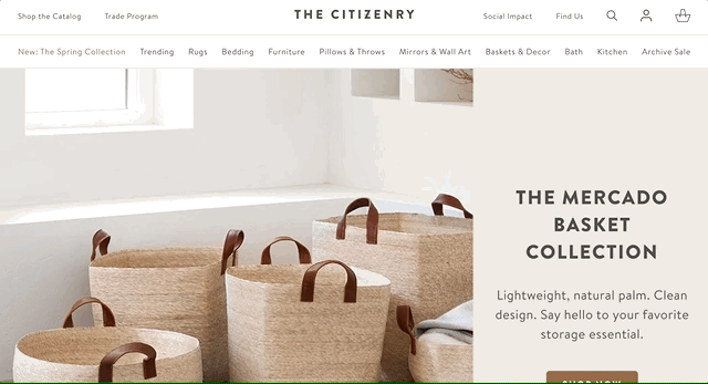 An animated GIF of Citizenry website search bar