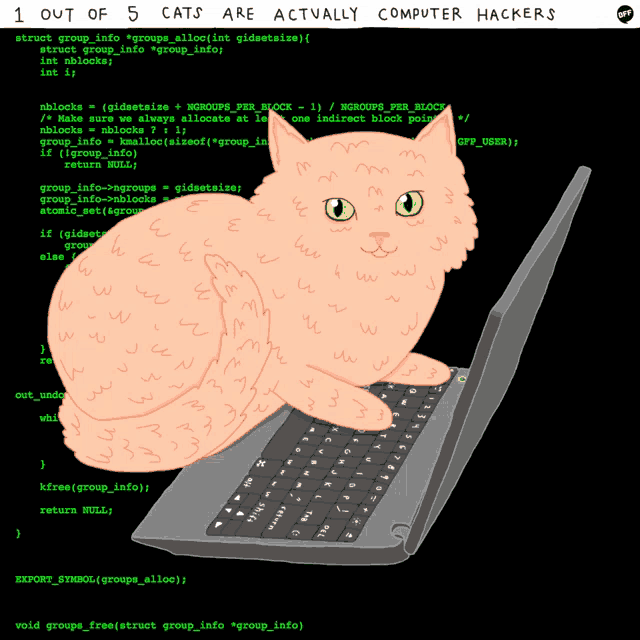Race Condition in Withdrawal Function: From Discovery to POC