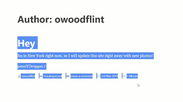 tryhackme ohsint OWoodflint password