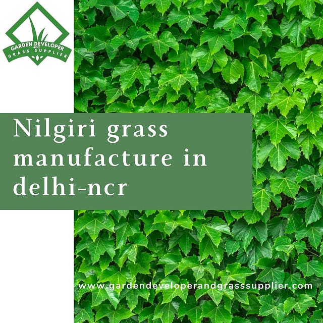 Nilgiri Grass Manufacturer in Delhi NCR