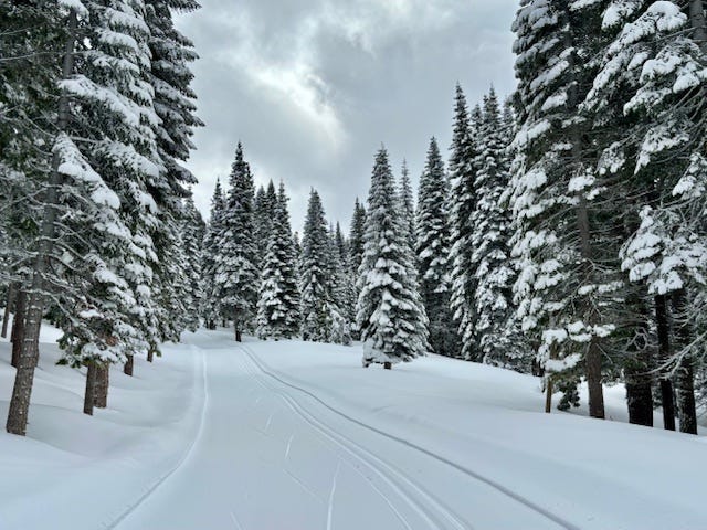 Royal Gorge Ski Resort, March 2024