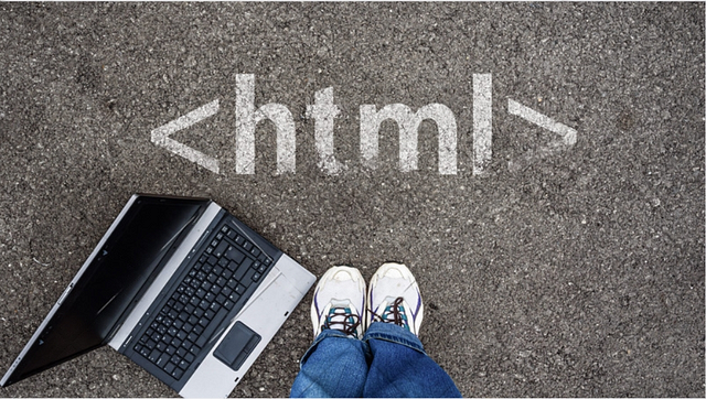 Руководство для начинающих по атрибутам HTML
