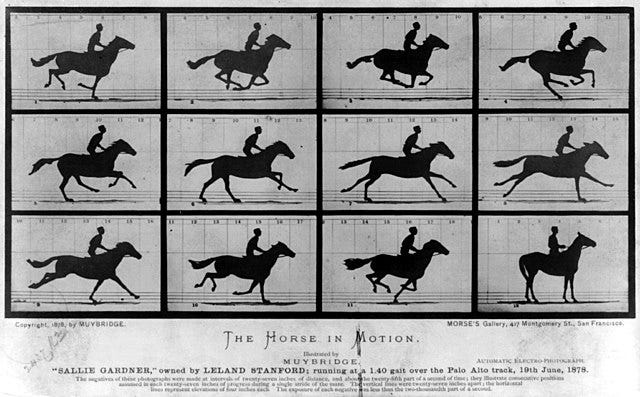 Four by three grid of images of a horse at a gallop; caption titled “The Horse in Motion.” This is a famous image made by Eadwaerd Muybridge showing different parts of the horse’s gait.