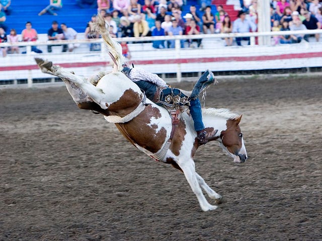 Houston Livestock Show and Rodeo