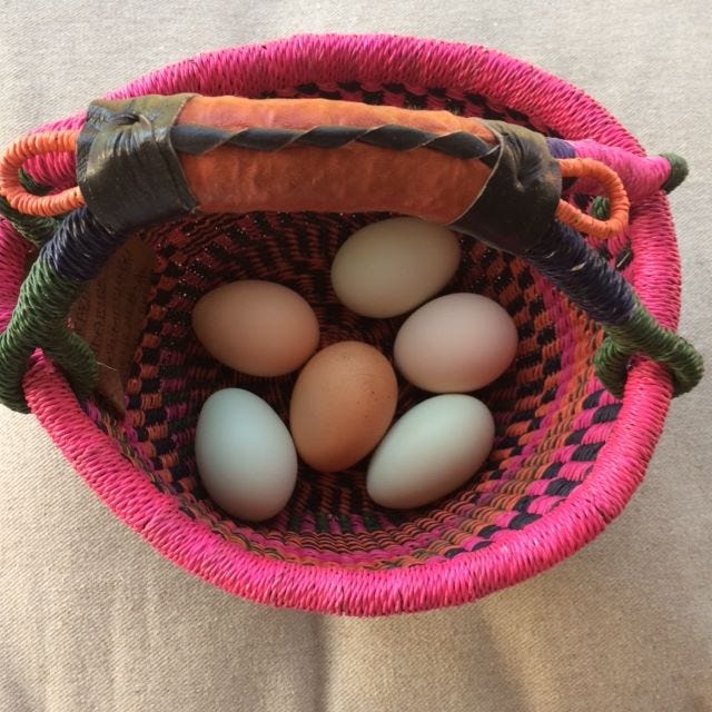Basket with six eggs.