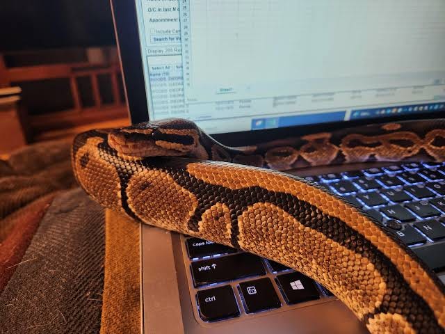 Functions of “Functions” in python