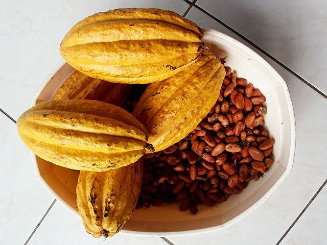 Cacao pod and beans.