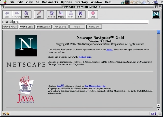 Netscape browser