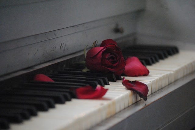 Rose lying on a piano