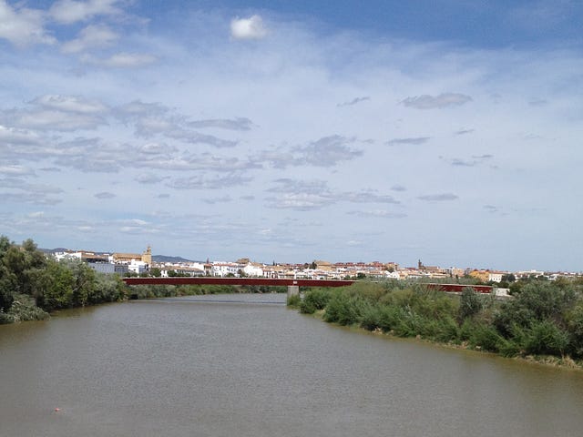 Beautiful river scene on a slightly cloudy day.