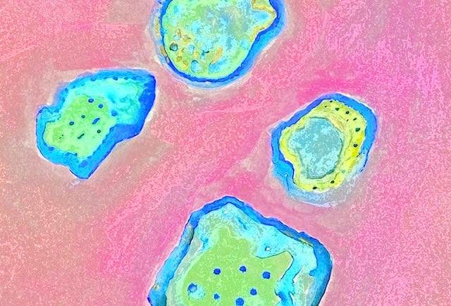 Uma pintura que eu fiz insipirada em imagens de vírus e bacterias.