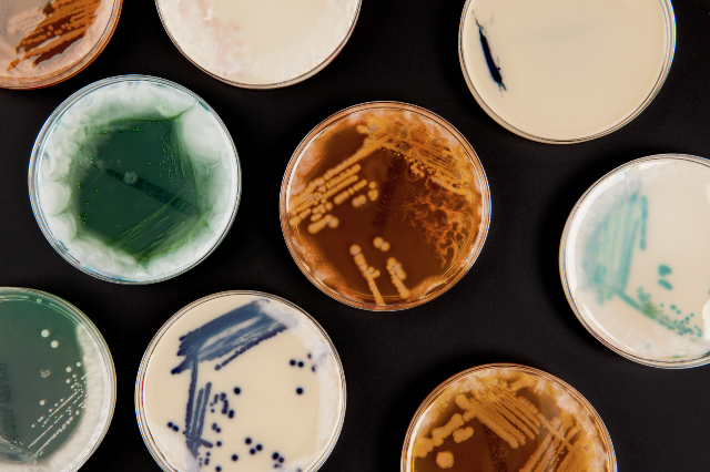 Superbugs: combatendo o dilúvio de resistência antimicrobiana