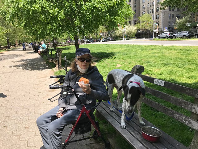 Photo of an older woman sitting next to a park bench with a dog.