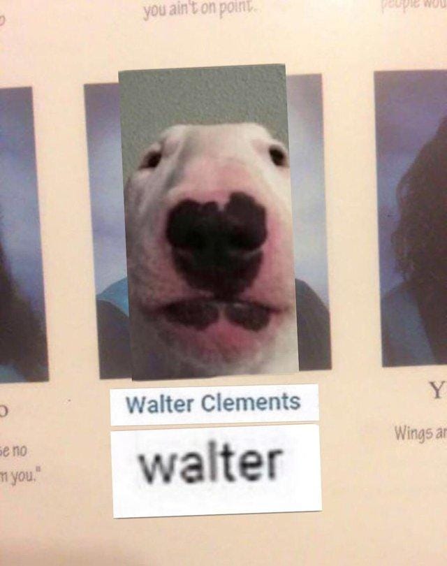 A “Walter Clements” and “Dog Face” meme mashup posted on r/OkBuddyRetard