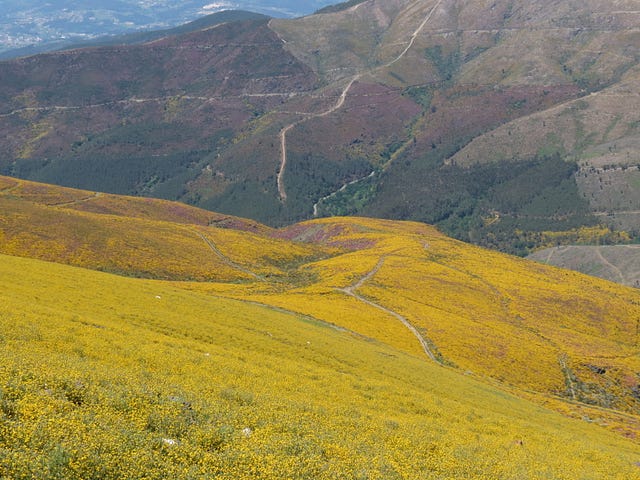 Alvão em Maio, foto psilvestre