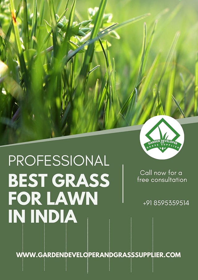 Best Grass for Lawn in Delhi