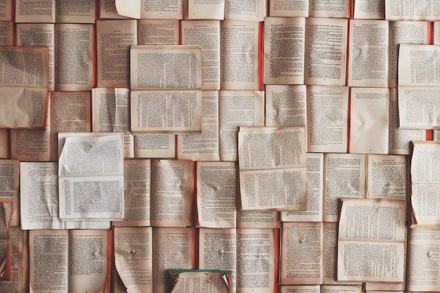 Na foto, vários livros estão abertos, organizados em diversas posições, todos muito próximos um do outro. A maioria se encontra com páginas mais amareladas.