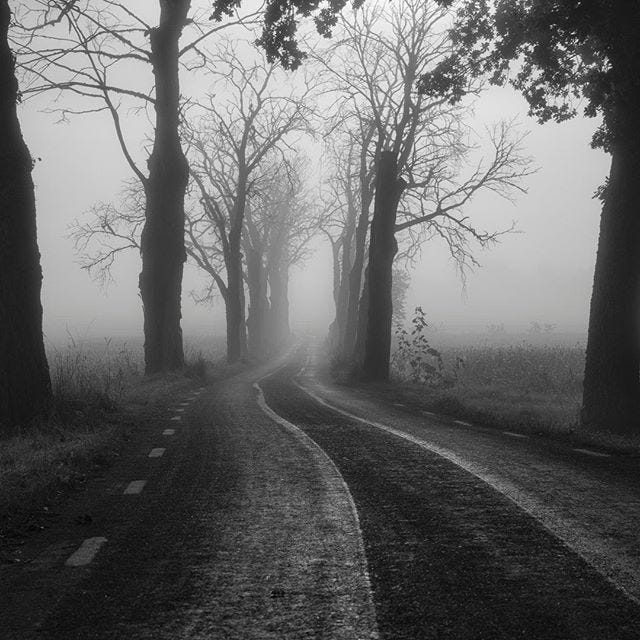 Spooky Highway, Dark Backroad, Night, Mist, Scary