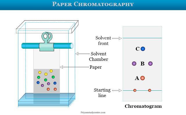 Paper Chromatography