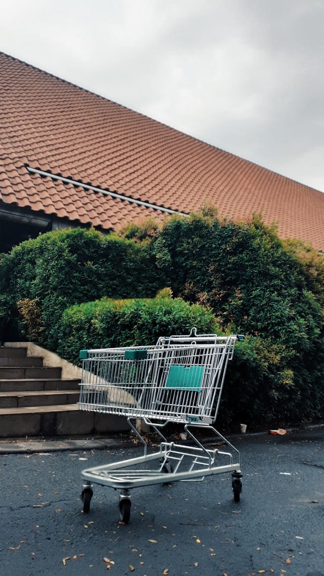single shopping cart
