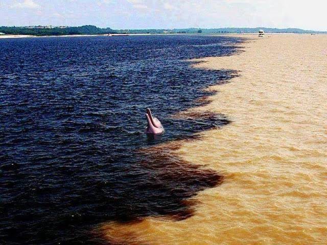 River water does not mix with each other even though both rivers are f