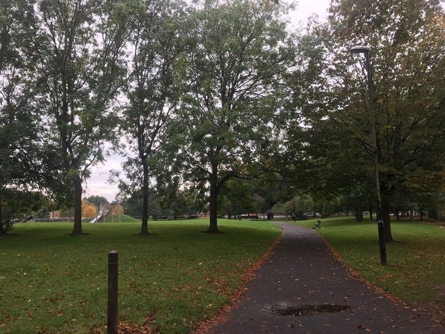 Image of trees in Gosford Park, Coventry