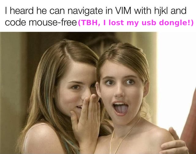One girl whispering to another. Caption: I heard he can navigate in VIM with hjkl and code mouse-free (TBH, I lost my USB dongle!)