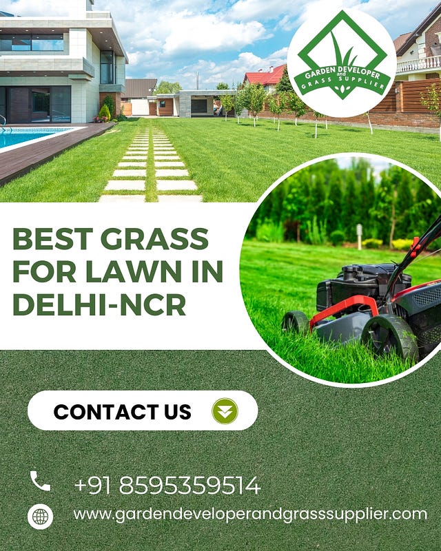 Best Grass for Lawn in Delhi-NCR