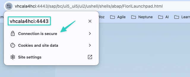 Build ABAP RAP Applications locally using Docker