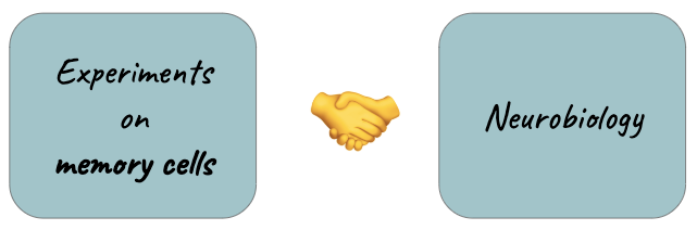 image showing experimental findings on memory magic in a box, neurobiology in another box, connected with a handshake emoji