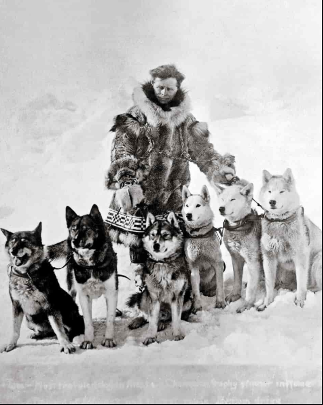 Classic photo of the dogsledding team that includes Balto and Togo.