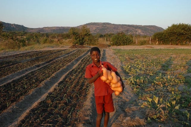 Un jeune garçon debout dans un champ tient un sac de courges.