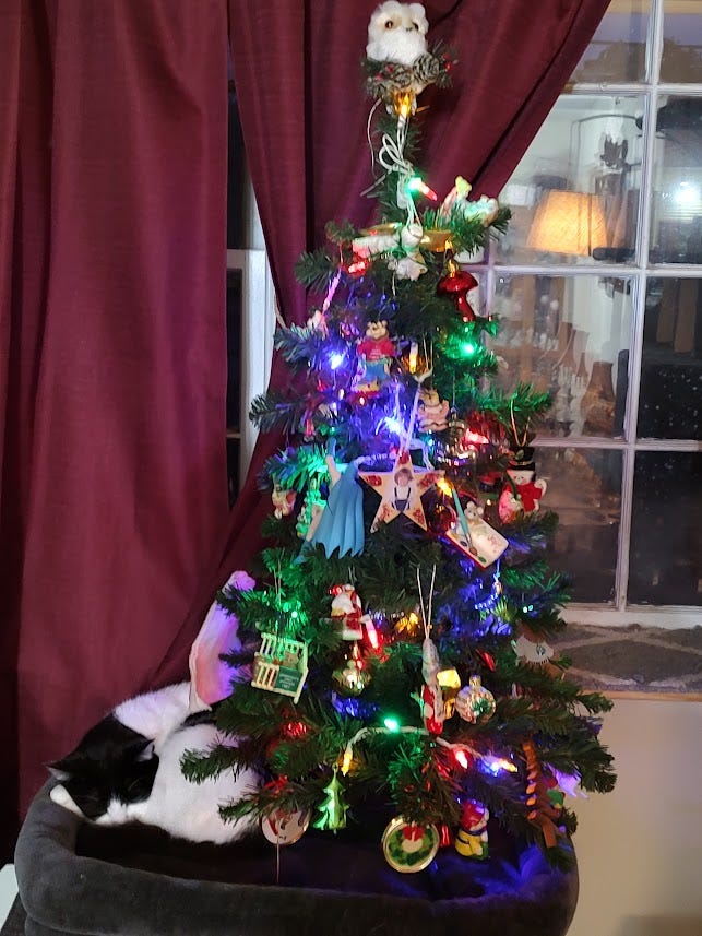 Bandit, our white cat with black markings, can fit under our tiny tree. He is napping.